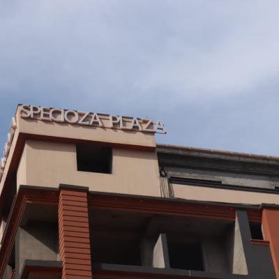 Main Branch