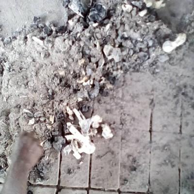 Gathering The Remains